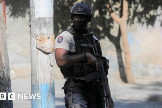 Haiti gang opens fire on protesters in capital, killing seven