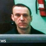 Alexei Navalny: Russian opposition leader handed further 19 year jail term