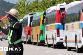 UK and US scouts pulled out of camp after S Korea heatwave