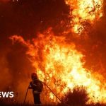 Portugal battles wildfires amid third heatwave of the year