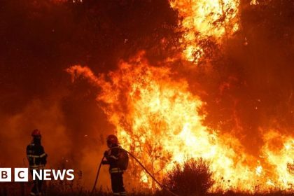 Portugal battles wildfires amid third heatwave of the year