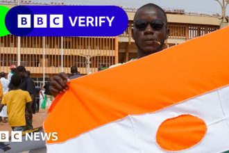 Niger coup: Fact-checking misinformation spreading online