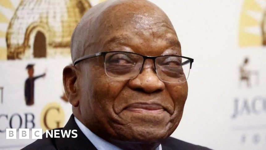 South Africa’s ex-President Jacob Zuma won’t return to prison due to overcrowding