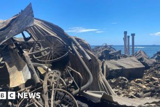 Maui fire: 89 killed as governor warns of 'significant' death toll rise