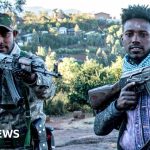 Why Ethiopia's Amhara militiamen are battling the army