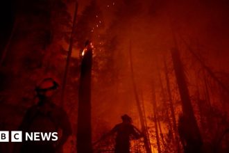 Canadian fire evacuees turned away from full flights