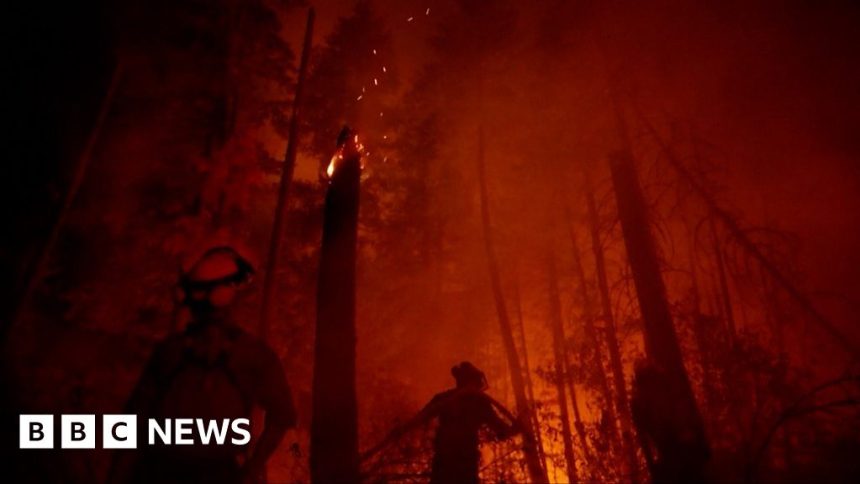 Canadian fire evacuees turned away from full flights