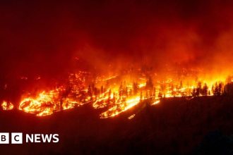 Canada wildfires: British Columbia province declares emergency