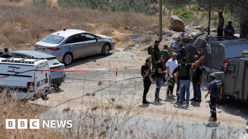 Israeli woman shot dead in attack on car in southern West Bank