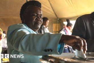 Zimbabwe election: Voters go to the polls with inflation on their minds