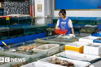 Fukushima: The fishy business of China's outrage over Japan's release