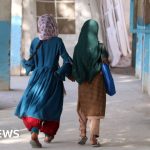 Taliban stops girls leaving Afghanistan to study abroad