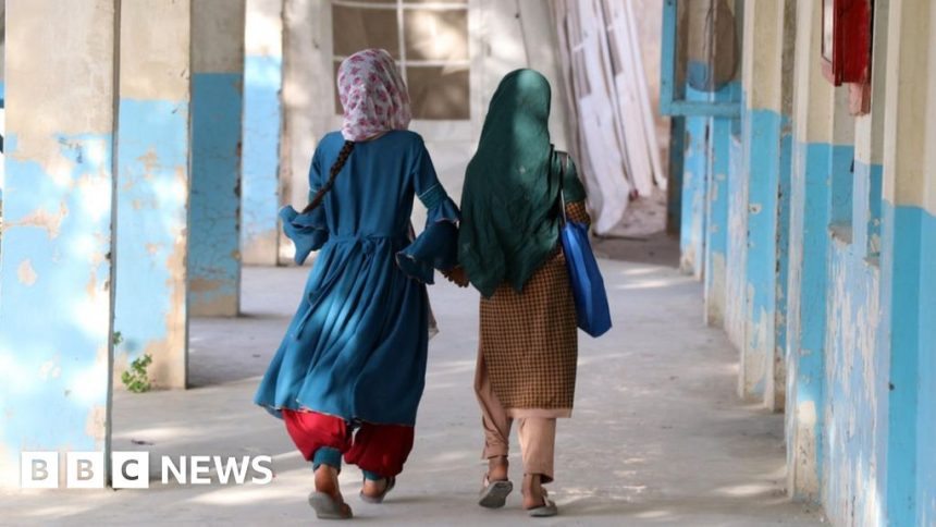 Taliban stops girls leaving Afghanistan to study abroad