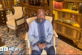 Gabon coup: Ousted president Ali Bongo calls for support