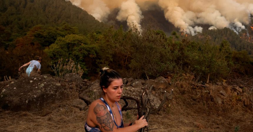 Residents Try to Protect Homes From Wildfire in Canary Islands