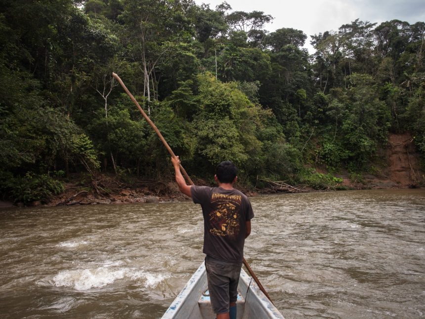 ‘Historic’: Ecuador voters reject oil drilling in Amazon protected area | Environment News