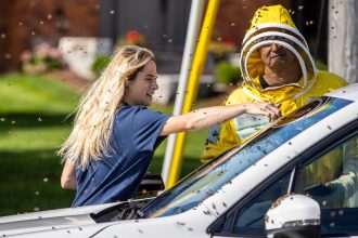 ‘Bee Emergency’: How Beekeepers Got 5 Million Bees Off a Road in Canada