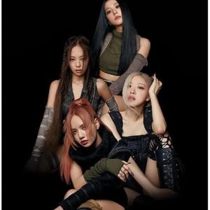 K-POP Idol Group High end 12 Poster & 1 Sticker Set (All A3 Size) (Blackpink)