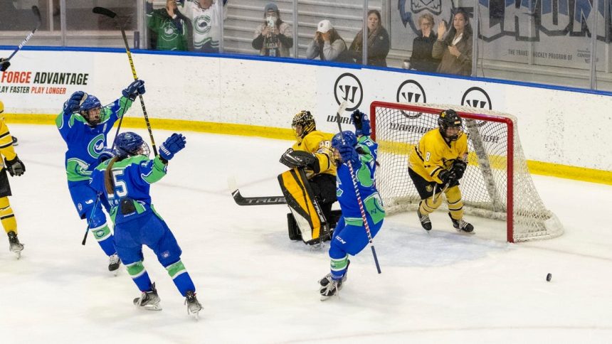 Dodgers, Chelsea FC owner might be uniting force to save women’s hockey