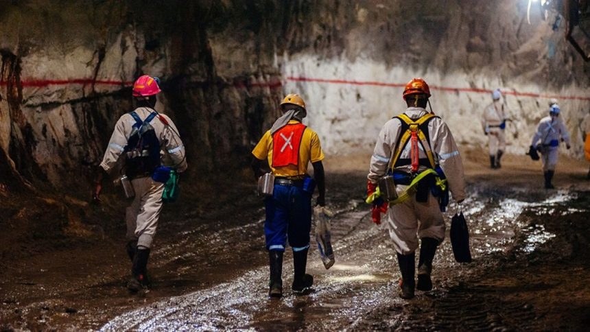 Catholic Church in South Africa begins class action against mining firms | Mining News