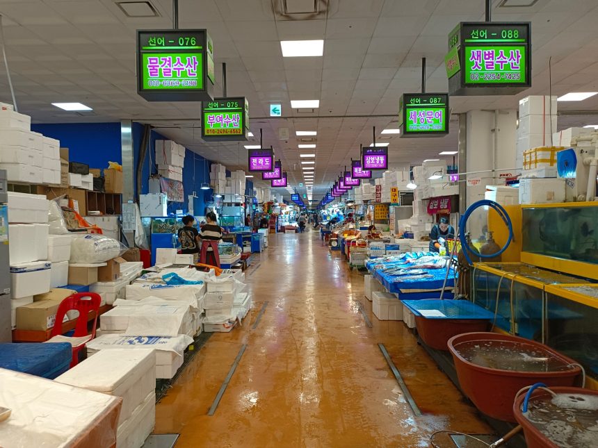 South Korea’s seafood sellers reel as science fails to ease Fukushima fears | Food