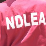 NDLEA Intercepts N4.8 Billion Worth Of Illicit Drugs From Warehouse In Lagos » Naijaloaded