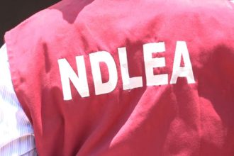 NDLEA Intercepts N4.8 Billion Worth Of Illicit Drugs From Warehouse In Lagos » Naijaloaded