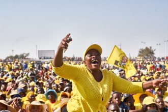 Another Zimbabwe election cycle reveals decline of women in politics | Politics