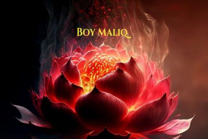 Boy Maliq – Craziest Love » Naijaloaded