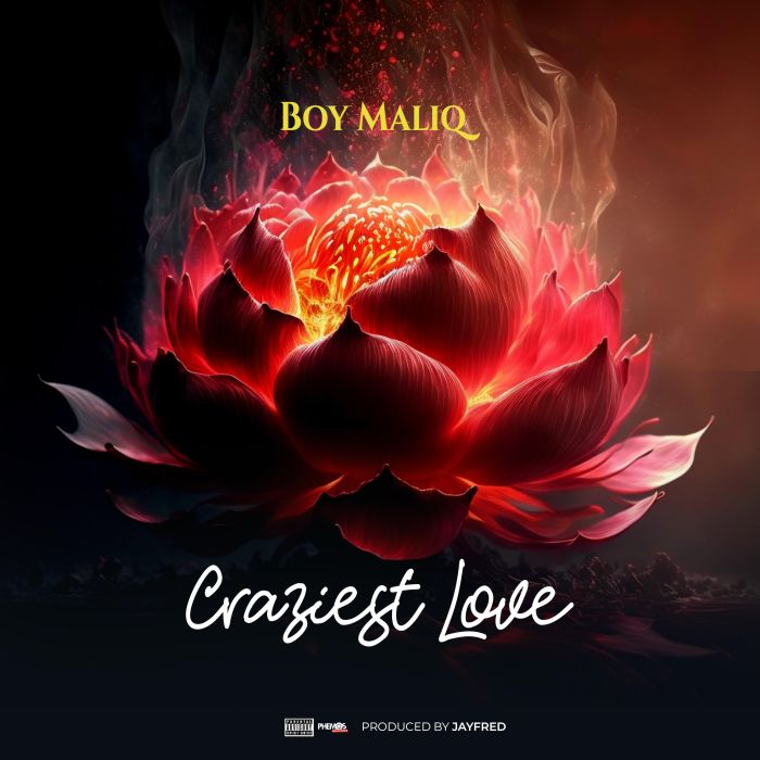 Boy Maliq – Craziest Love » Naijaloaded