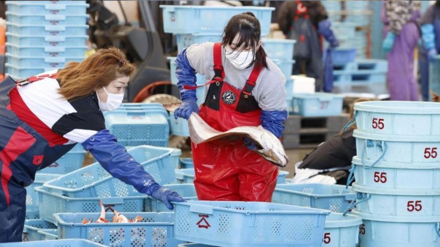 Are fears over Japan’s release of Fukushima radioactive water justified? | TV Shows