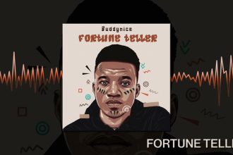 Buddynice – Fortune Teller (Redemial Mix)