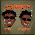 “So What” Lyrics by Tekno, Shallipopi