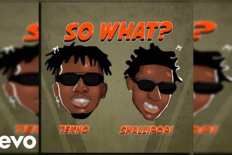 “So What” Lyrics by Tekno, Shallipopi