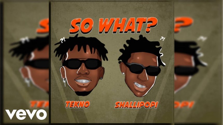 “So What” Lyrics by Tekno, Shallipopi