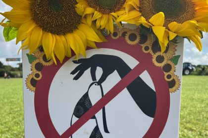 Sunflower Farm Warns Guests, ‘Keep Your Clothes On’