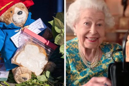 Stop Leaving Marmalade And Paddington Bears For Queen: Officials