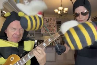 Watch Toyah & Robert Fripp cover The Hives “Hate to Say I Told You So”