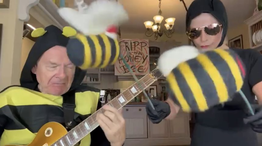 Watch Toyah & Robert Fripp cover The Hives “Hate to Say I Told You So”