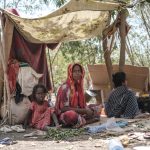 UN investigators warn of risk of future atrocities in Ethiopia | News