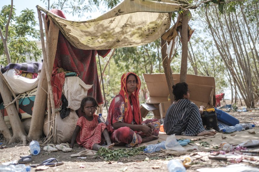 UN investigators warn of risk of future atrocities in Ethiopia | News