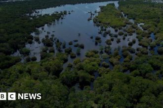 Brazil: 14 killed after plane crashes in Amazon