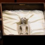 Ufologist Claims to Show Mummified Alien Specimens to Mexico’s Congress