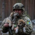 Russia-Ukraine war: List of key events, day 576 | Russia-Ukraine war News