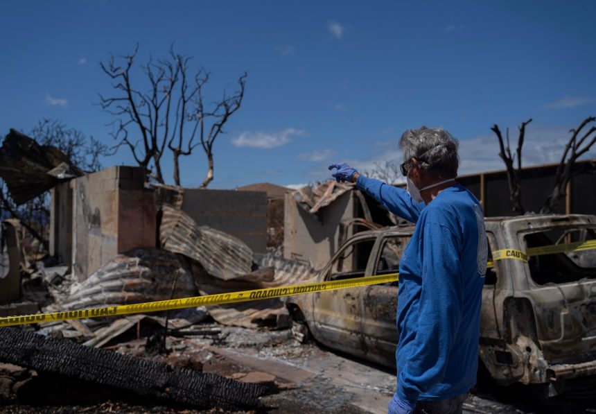 Lahaina family finds devastation in first visit home after deadly wildfire | In Pictures News