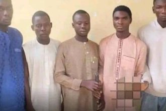 It Is Not Easy Living In Nigeria,” Arrested Suspects Reveal Why They Stole Human Skull » Naijaloaded