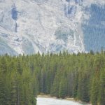 Grizzly Bear Kills 2 People at Banff National Park in Canada