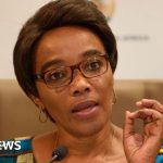 South Africa crime: Thieves put gun to Transport Minister Sindisiwe Chikunga's head