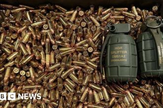 Ukraine war: Grenade birthday gift kills army chief Zaluzhny's aide