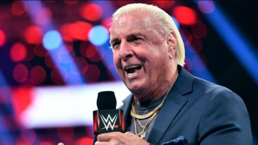 WWE legend threatens to give Ric Flair a “DDT” in AEW